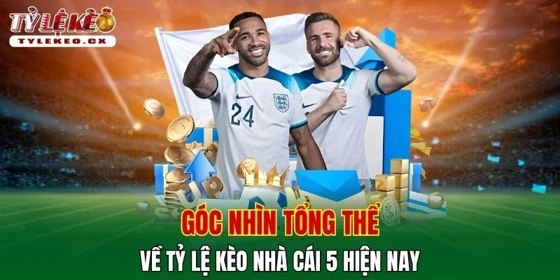 Tỷ Lệ Kèo 33 Góc nhìn tổng thể về tỷ lệ kèo nhà cái 5 hiện nay