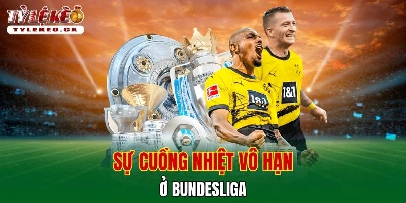Tỷ Lệ Kèo 40 Sự cuồng nhiệt vô hạn ở Bundesliga